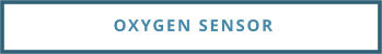 OXYGEN SENSOR